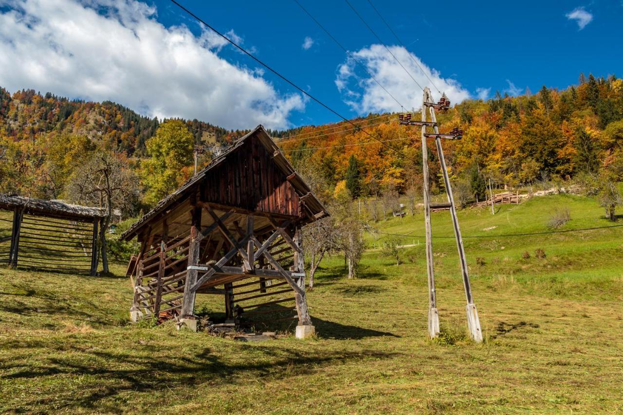 House Jereka -bohinj Nyaraló Bohinji-tó
